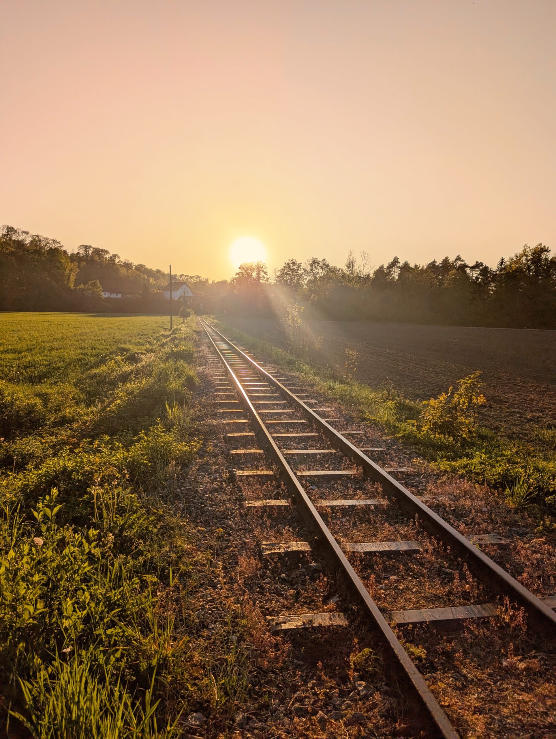 Familienmentorin, Mamacoach